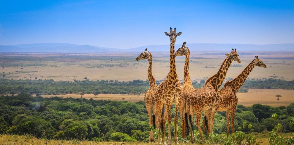 Kenya_Exotic_Holiday2