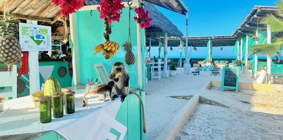 BIG_pochivka-zanzibar-7-noshtuvki-13-21112026g-2_17794608771675431